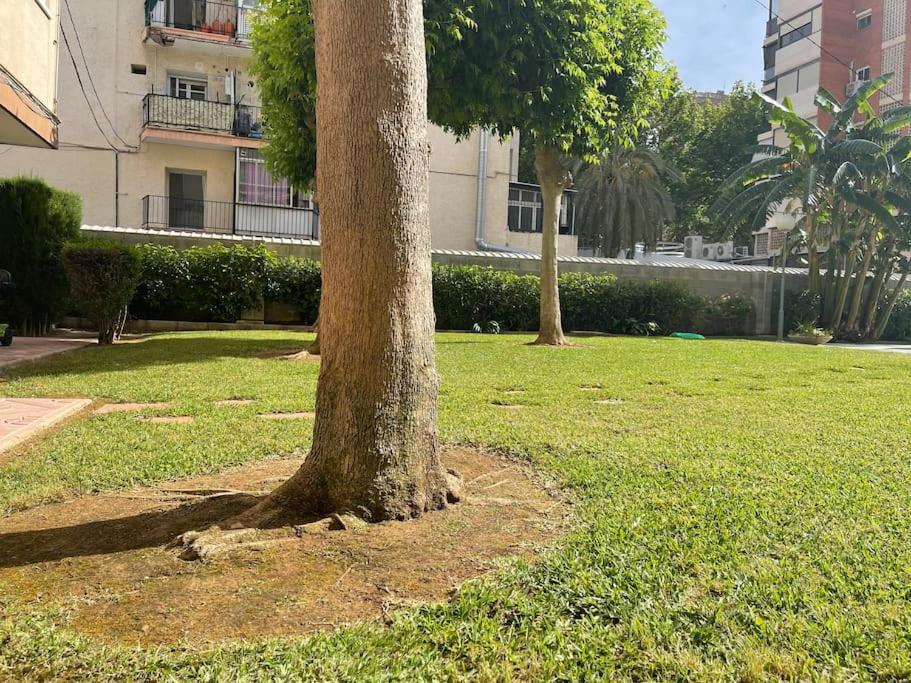 Apartamento Inmejorable Ubicacion,70M Playa 70M Pueblo Benidorm Exterior foto